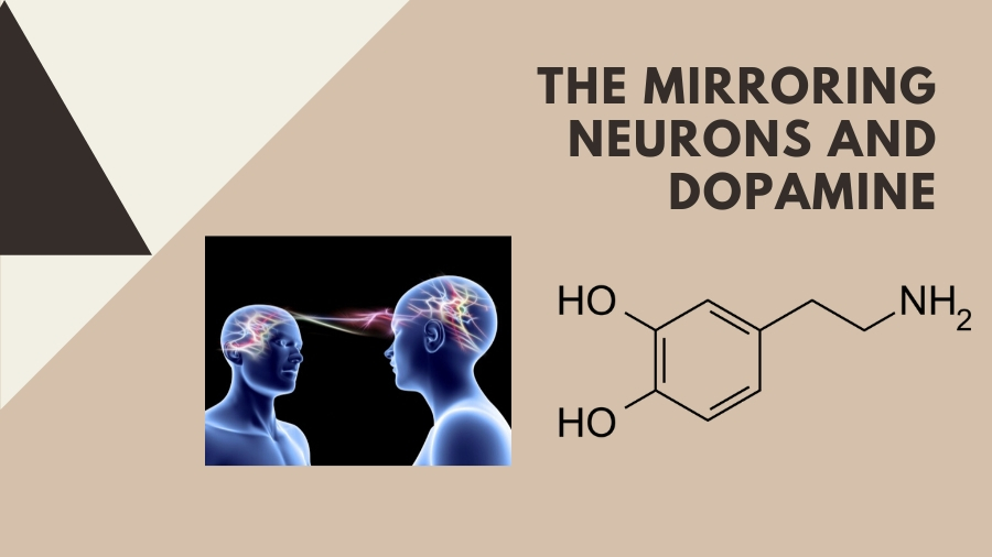 The Mirroring Neurons and Dopamine