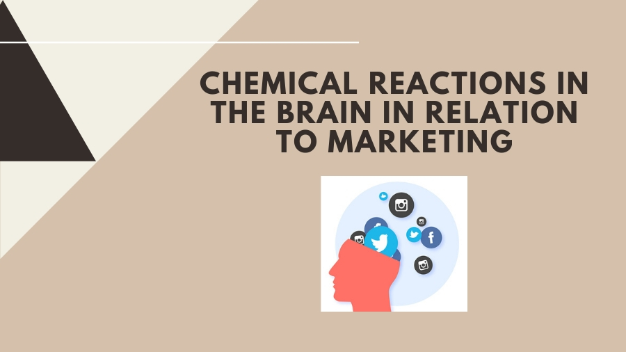 Chemical Reactions in the Brain in Relation to Marketing