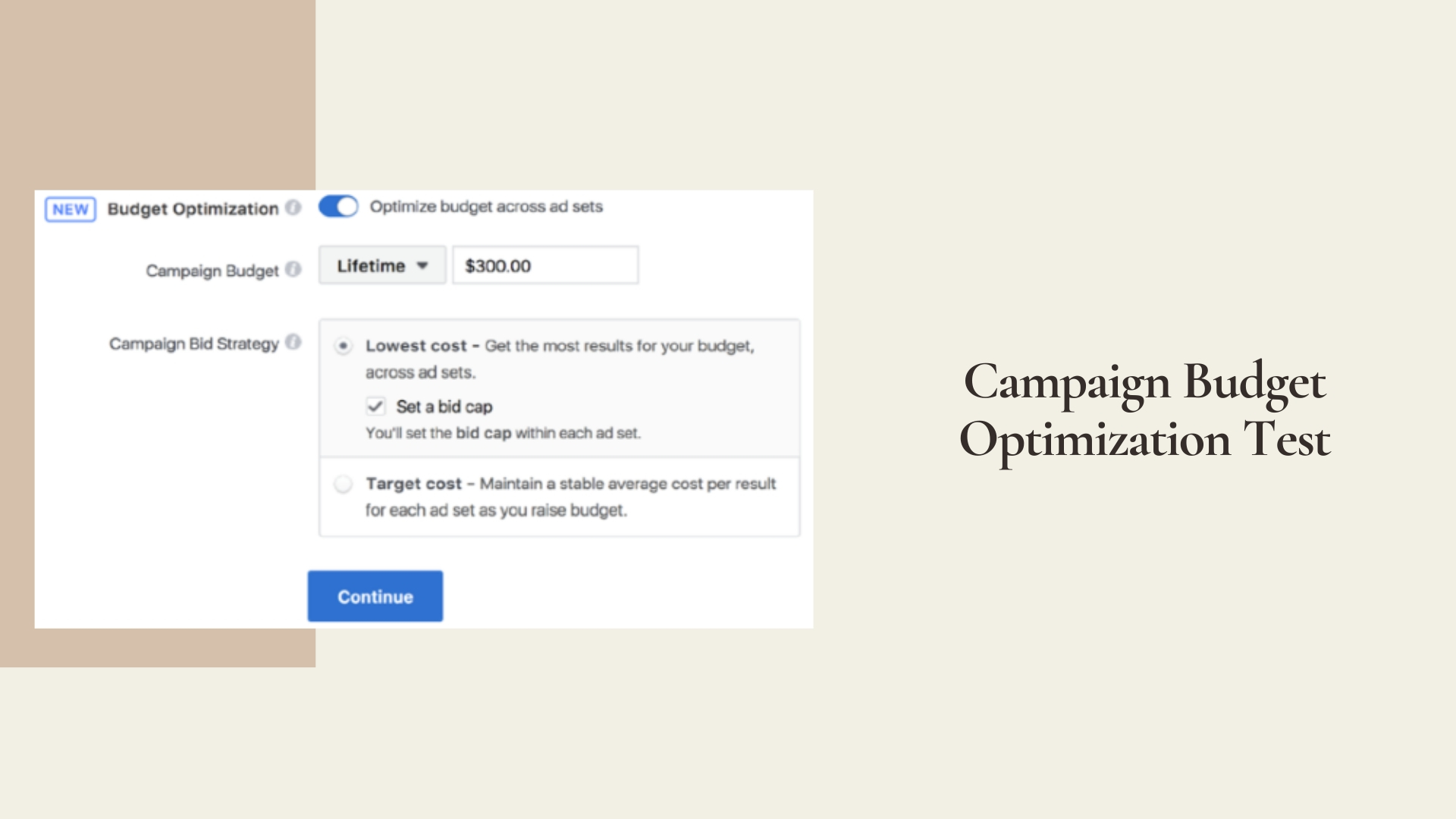 Campaign Budget Optimization Test