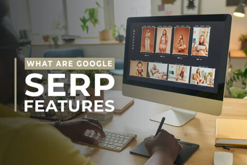 What Are Google SERP Features true north social